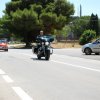 Montevago 2010 (425)